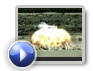 Thumbnail image for NAVAIR Iontro Video
